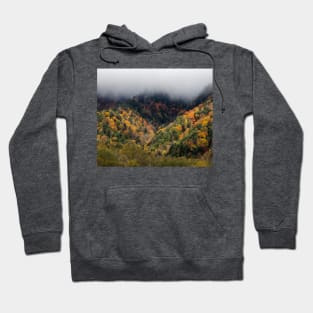 relaxing your eyes Hoodie